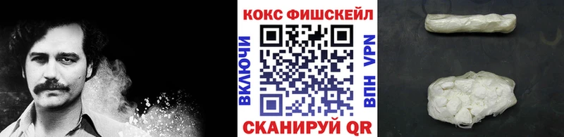 купить закладку  Ревда  мега зеркало  COCAIN FishScale 